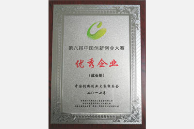 第六届中国创新创业大赛优良奖奖牌