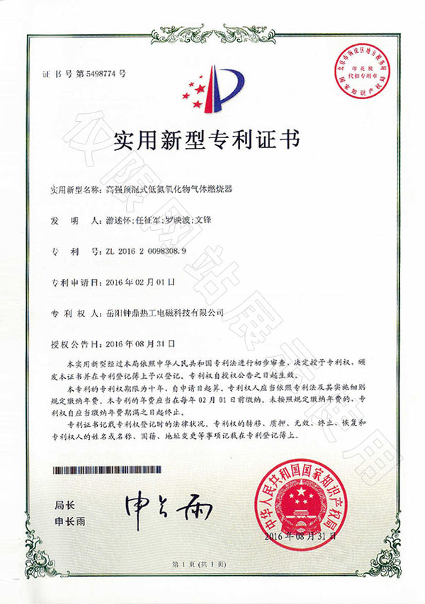 高强预混式低氮氧化物气体点火器